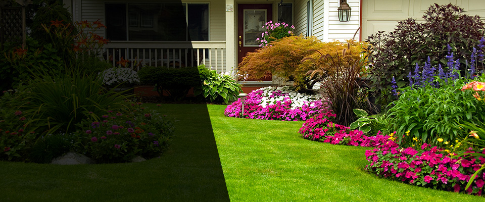 Wilder Landscapers