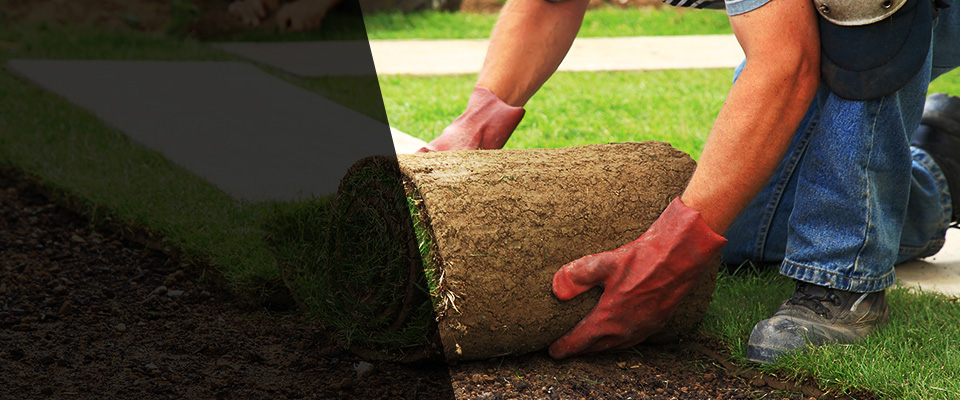 Wilder Landscapers